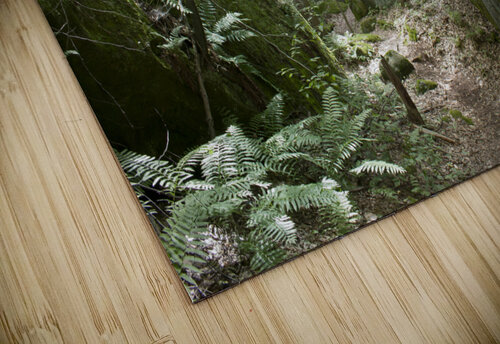 Mossy Rocks Five14Photography puzzle