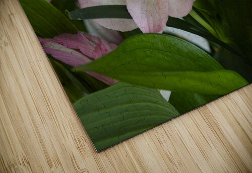 Peruvian Lily Five14Photography puzzle