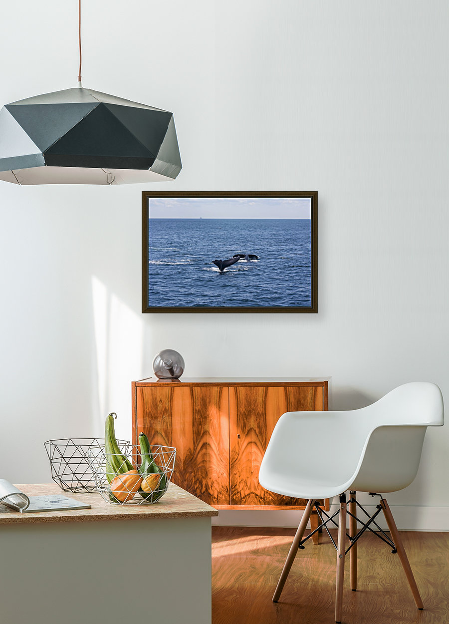 Whale Watching Reproduction