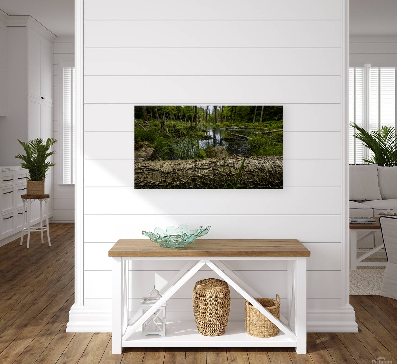 Beaver Pond Reproduction