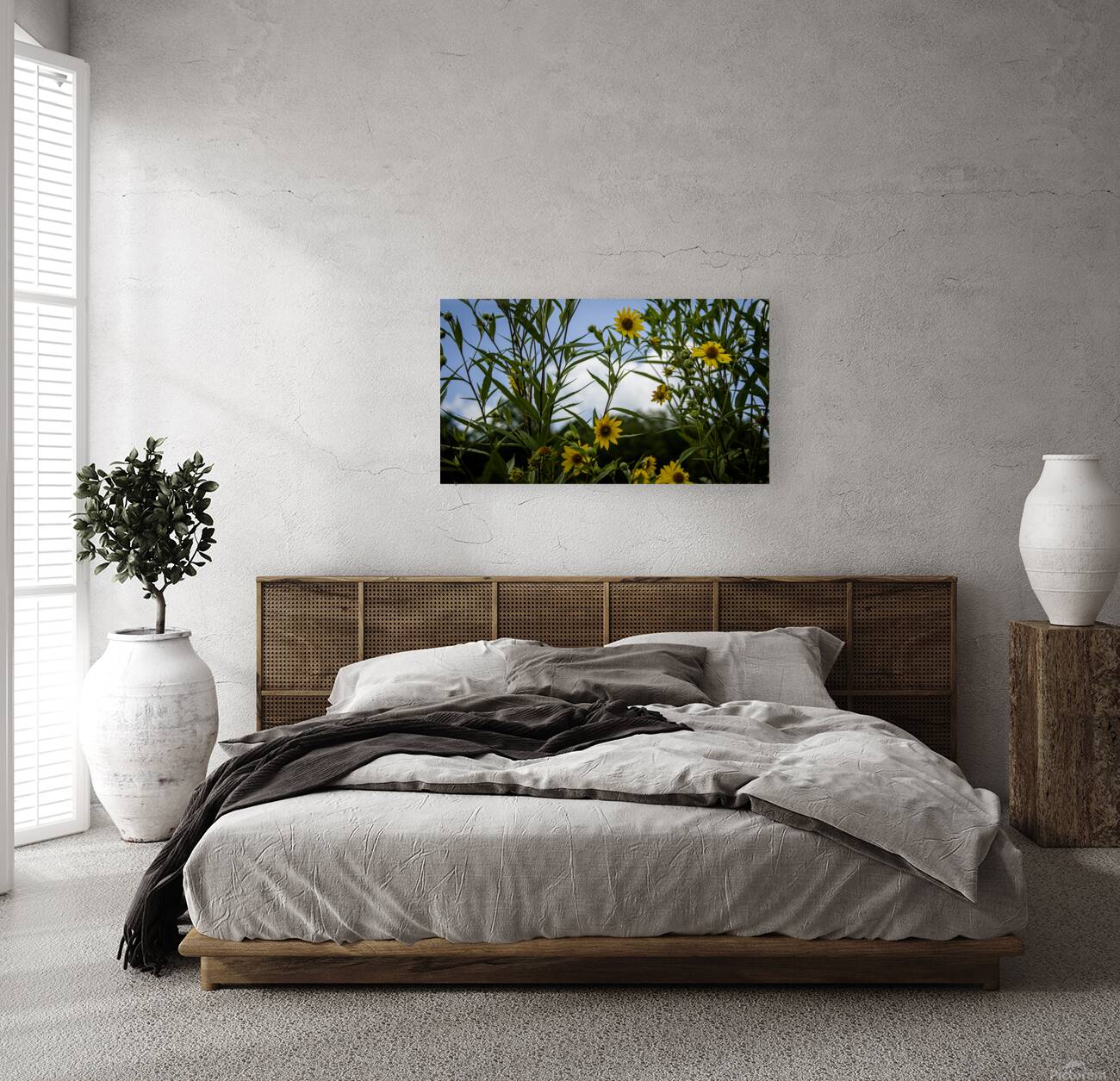 Jerusalem Artichoke  Reproduction