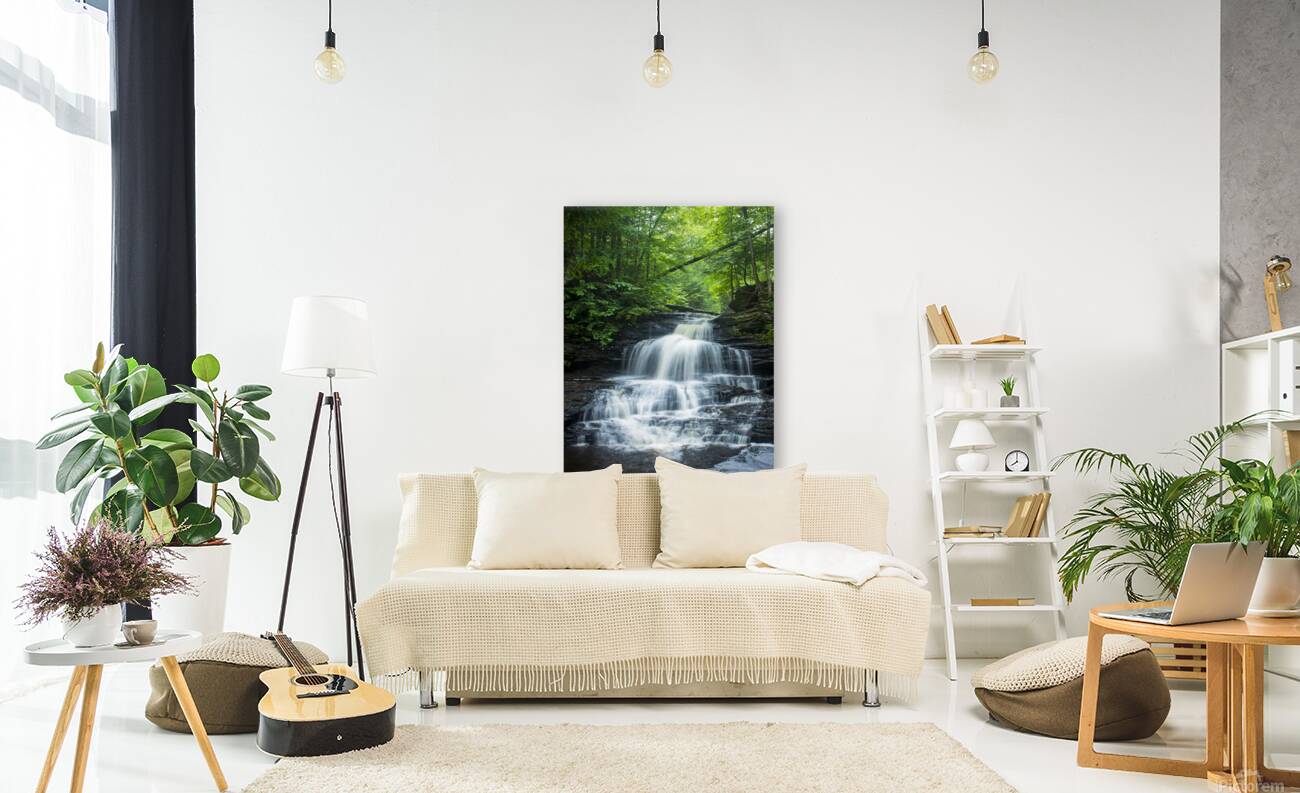 Onondoga Falls Reproduction
