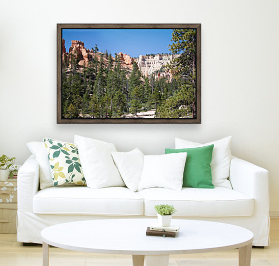 Looking Up From Bryce Canyon Reproduction