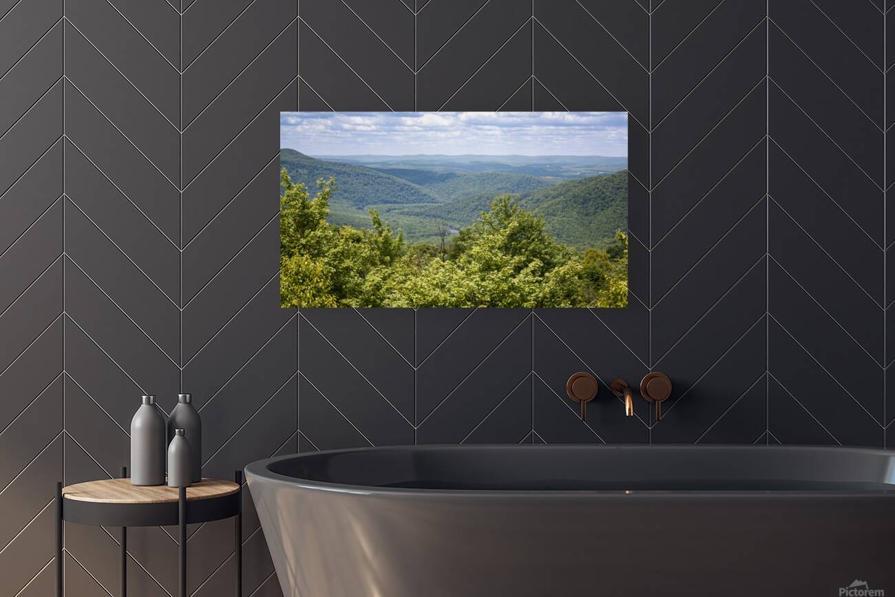 Yough River Valley Reproduction