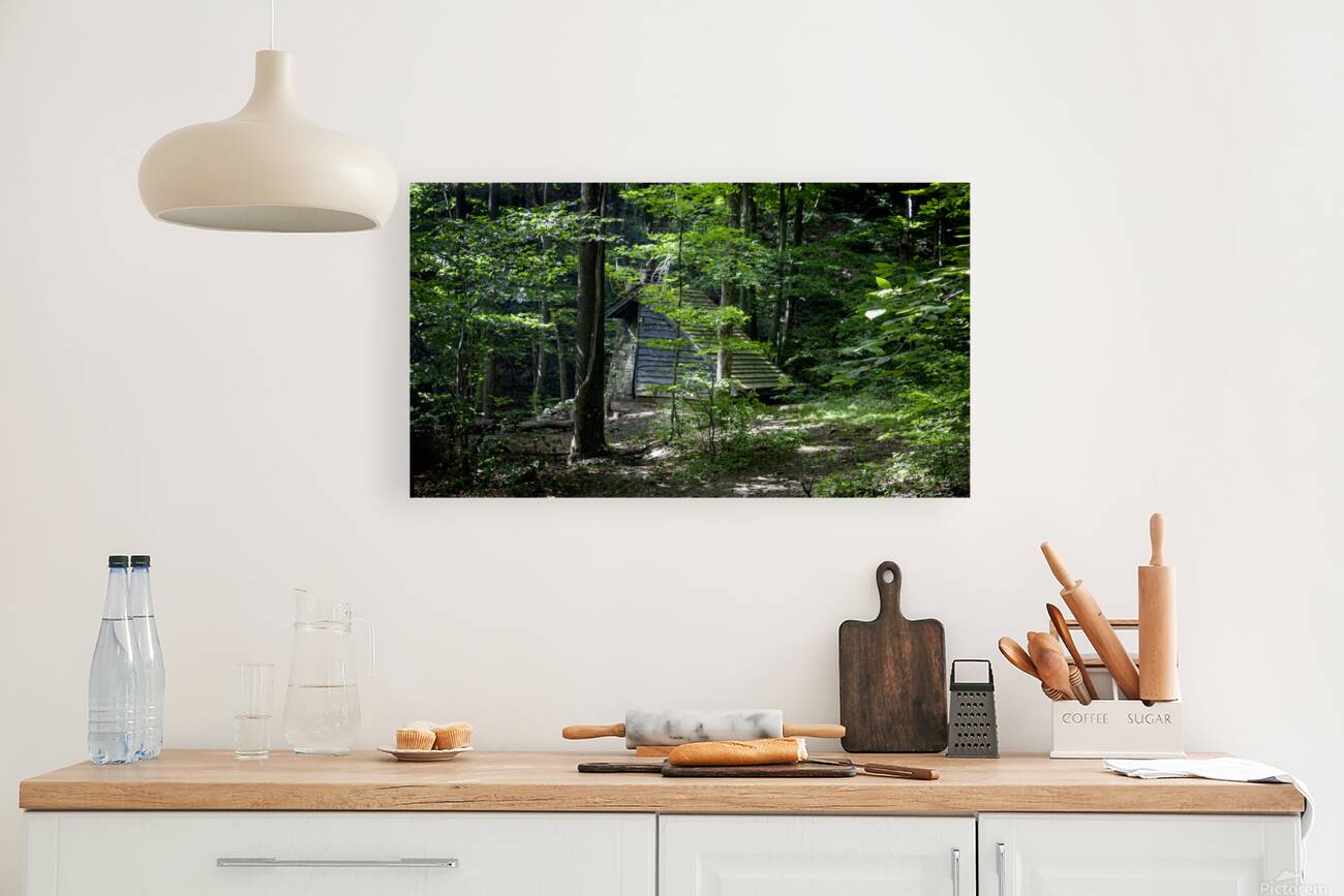 Trailside Shelter Reproduction