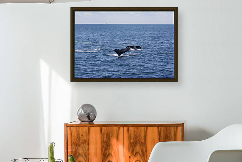 Whale Watching by Five14Photography