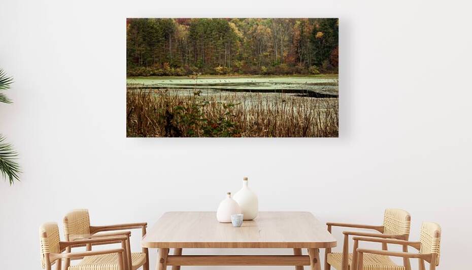 Ducks on the Pond by Five14Photography