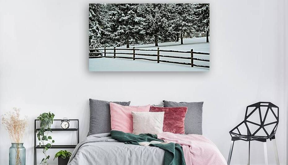 Winter Snow by Five14Photography