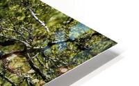 Great Egret HD Metal print