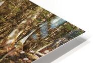 Watsons Run HD Metal print