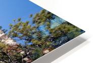 Looking Up From Bryce Canyon HD Metal print