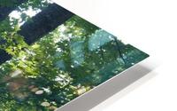 Summer Haze HD Metal print