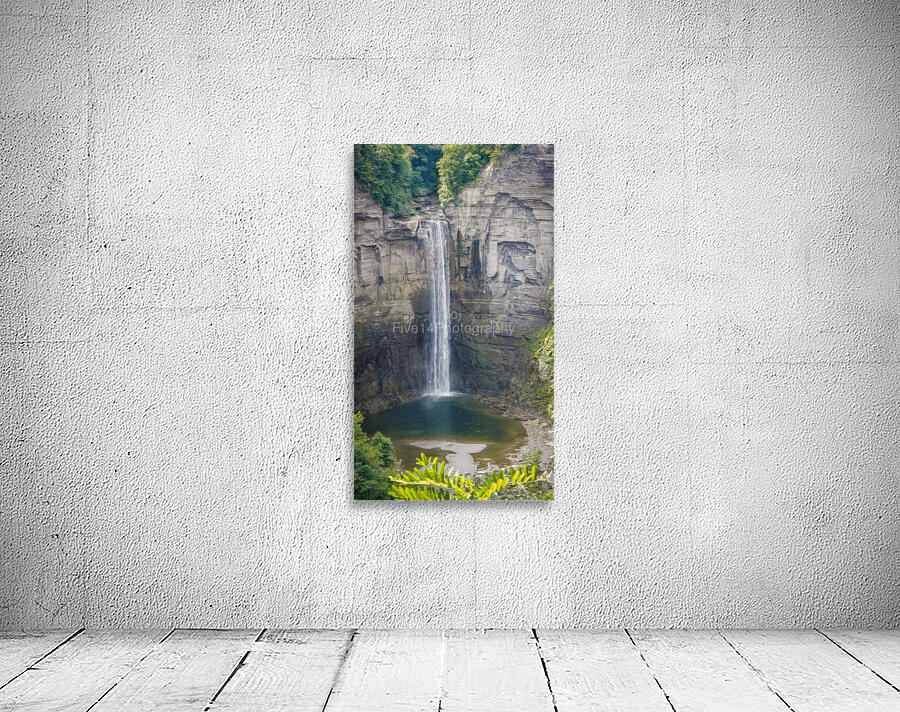 Taughannock Falls Wall Preview