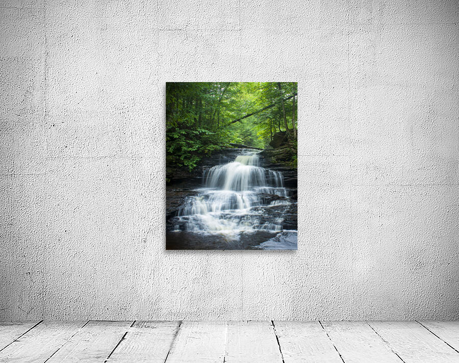 Onondoga Falls Wall Preview