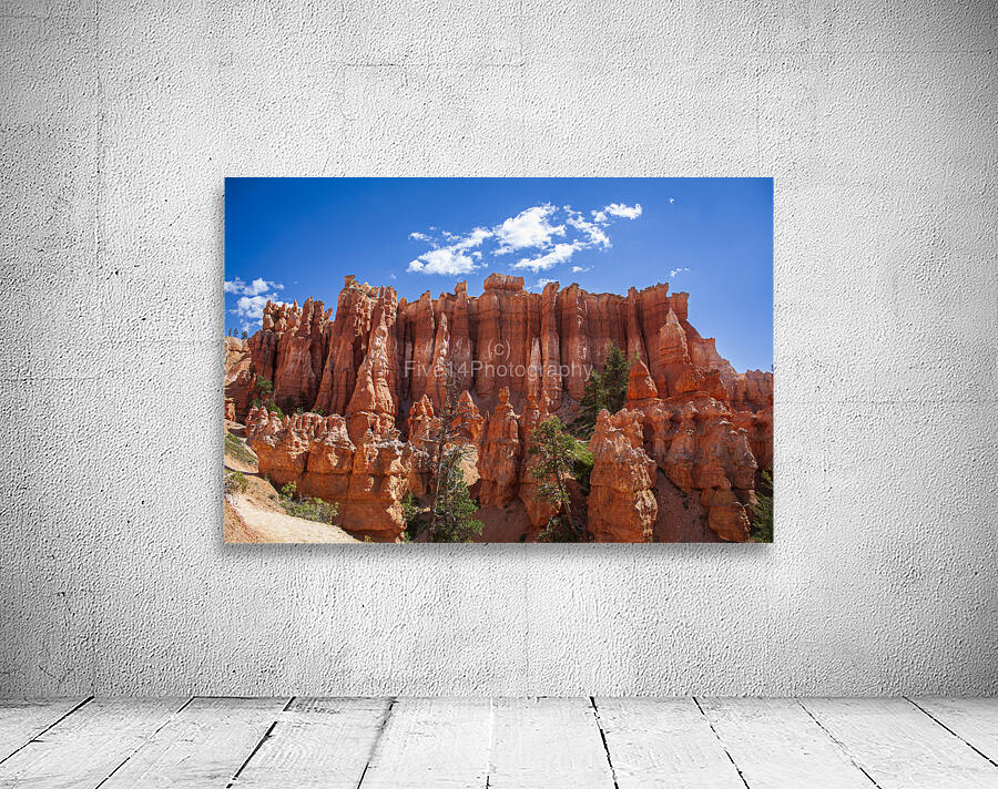 Bryce Canyon Hoodoos Wall Preview