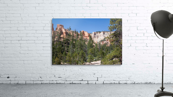 Looking Up From Bryce Canyon Wall Preview