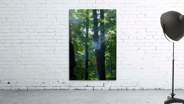 Summer Haze Wall Preview