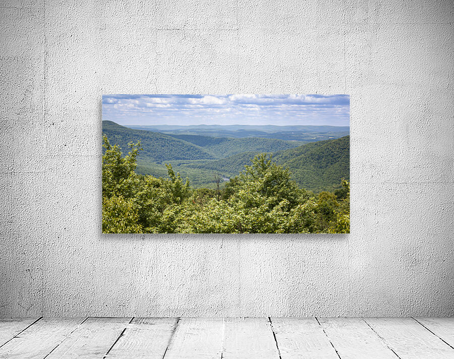 Yough River Valley Wall Preview