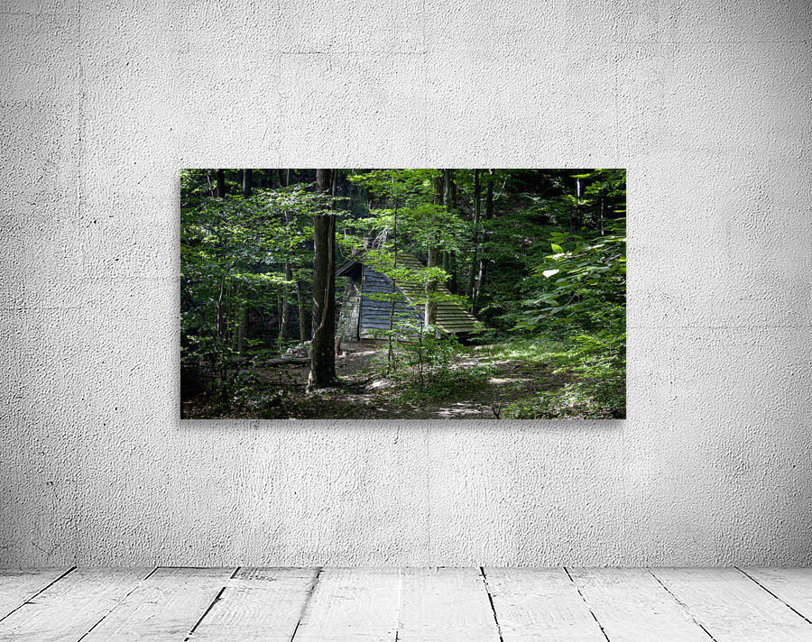 Trailside Shelter Wall Preview