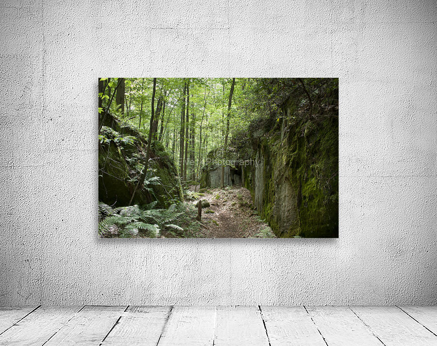 Mossy Rocks Wall Preview