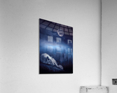Sleeping Wolf Acrylic Print