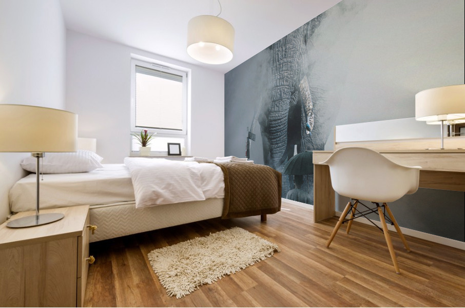 Elephant Mural print