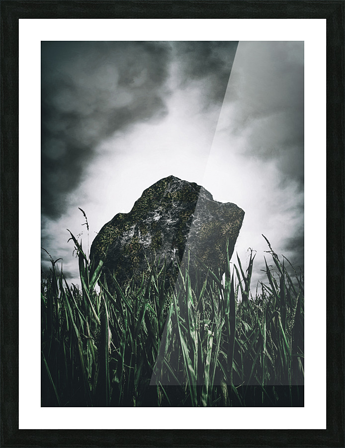 In The Tall Grass Picture Frame Printing