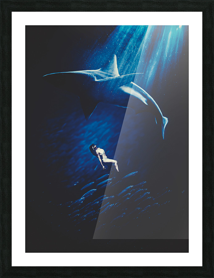Shark Picture Frame Printing