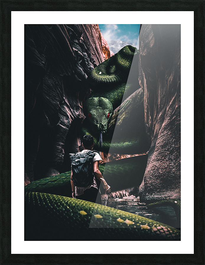 Snake Picture Frame Printing
