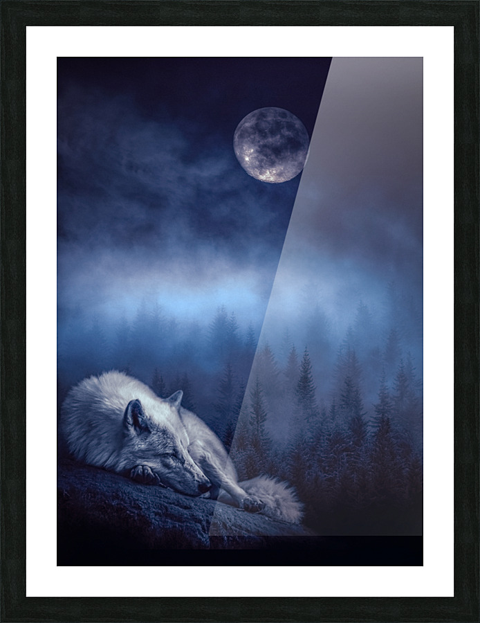 Sleeping Wolf Picture Frame Printing
