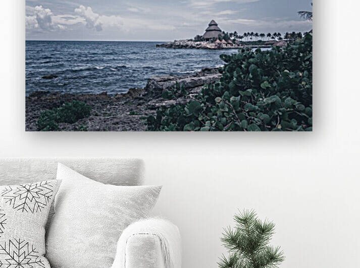 Beach Reproduction