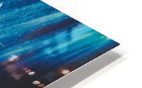 Shark HD Metal print