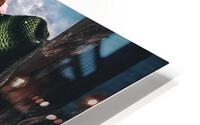 Snake HD Metal print