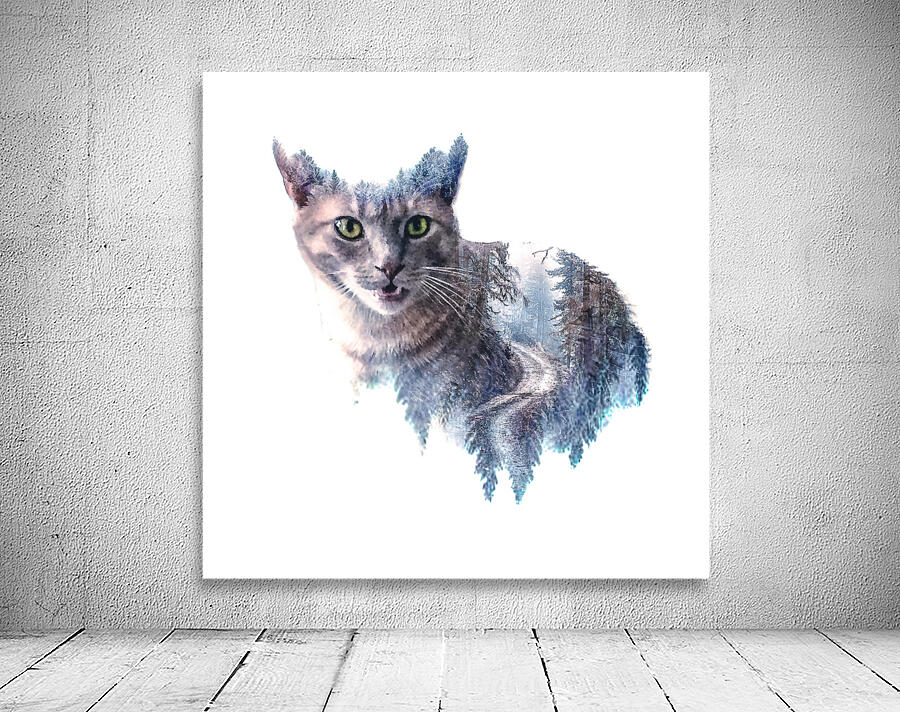 Felix  Wall Preview