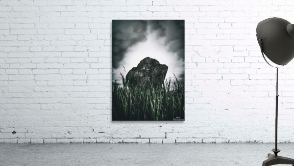 In The Tall Grass Wall Preview