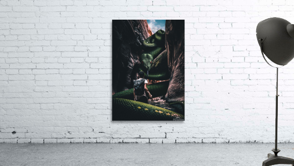 Snake Wall Preview