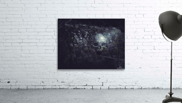 Skull Cavern Wall Preview