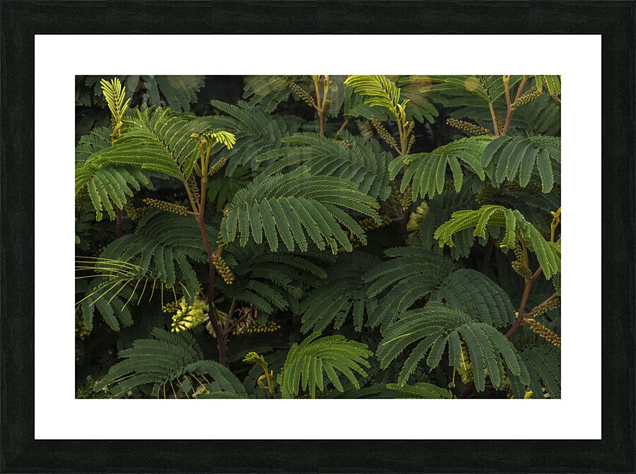 Emerald Traces Picture Frame print