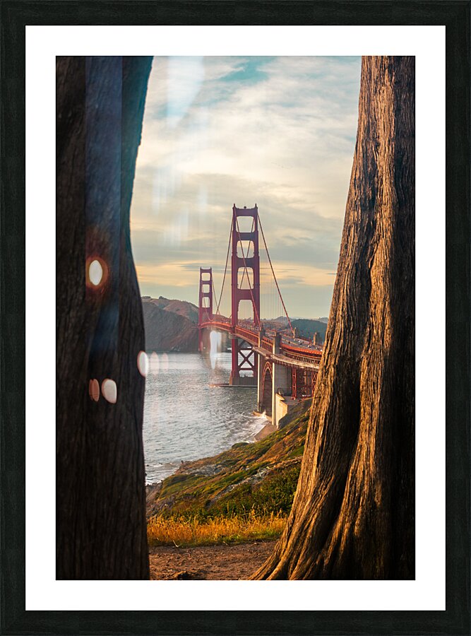 Through Natures Frame Picture Frame print