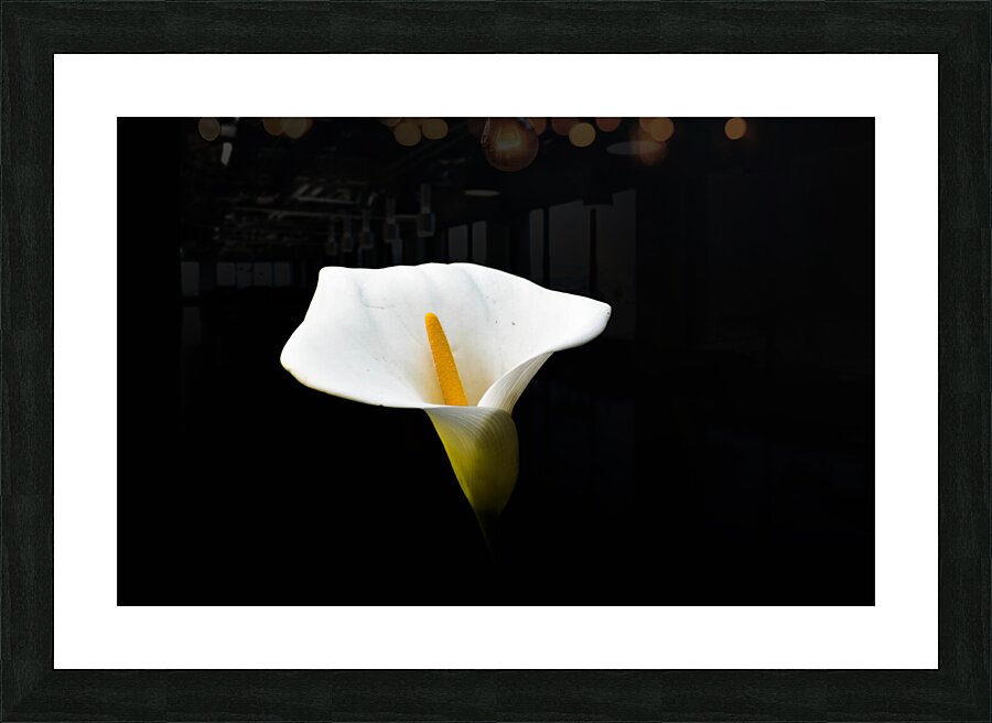 Light from Darkness  Picture Frame print