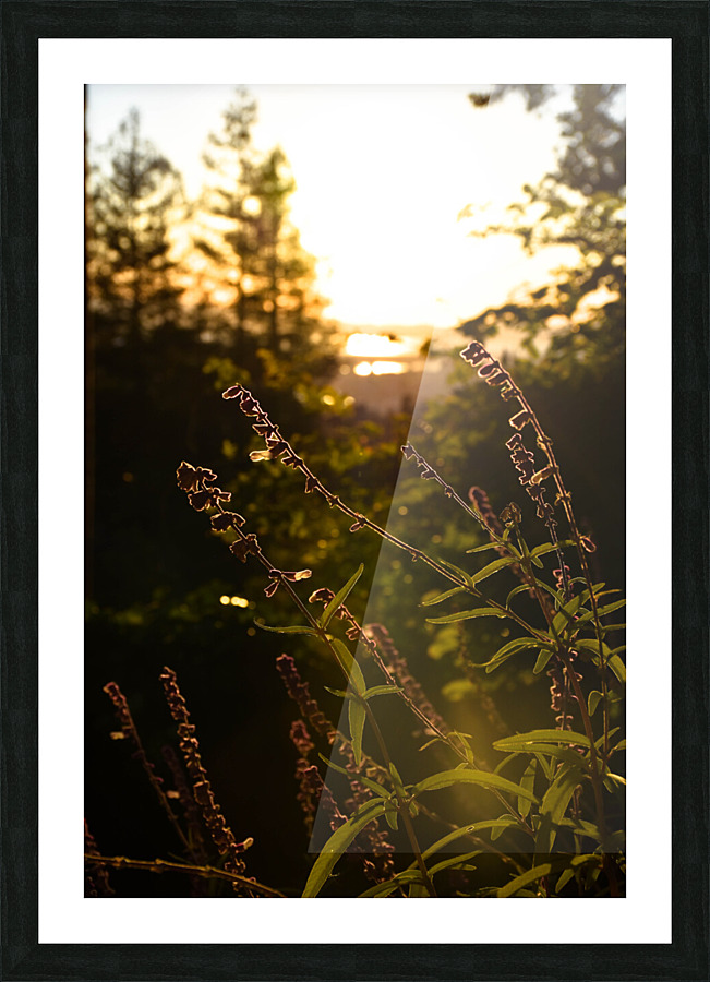 Serenity  Picture Frame print