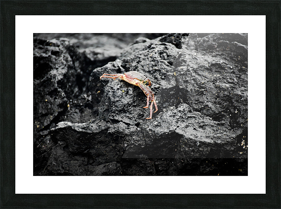 Wishful Defense  Picture Frame print