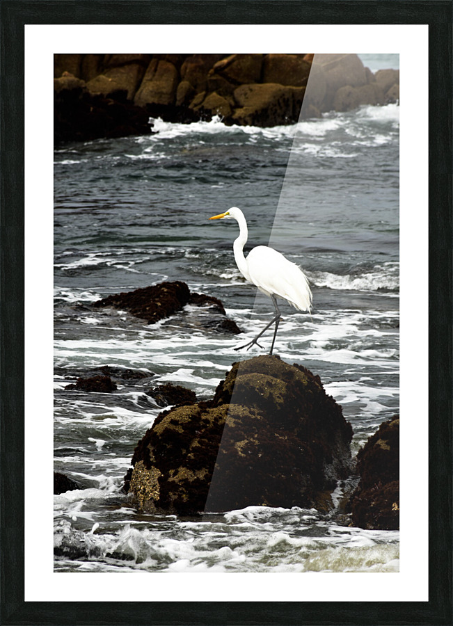 Tranquility  Picture Frame print
