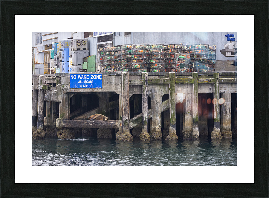 Peaceful Mornings Picture Frame print
