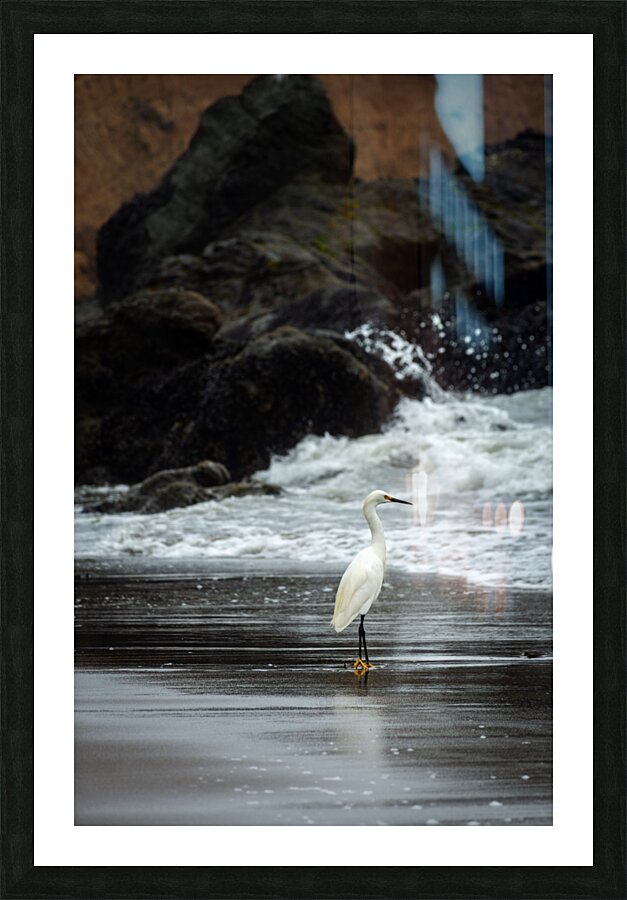 Sea Gazing Picture Frame print