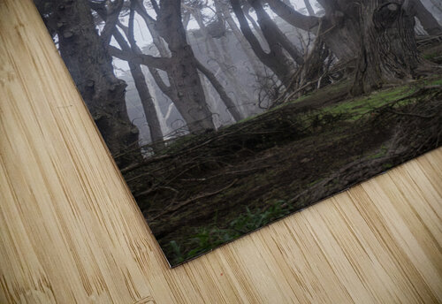 Fogs Embrace Rhea Mechem puzzle