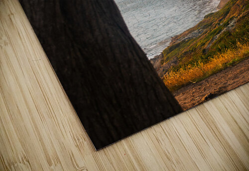Through Natures Frame Rhea Mechem puzzle