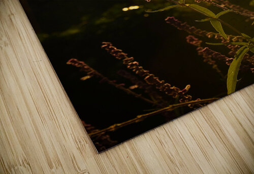 Serenity  Rhea Mechem puzzle