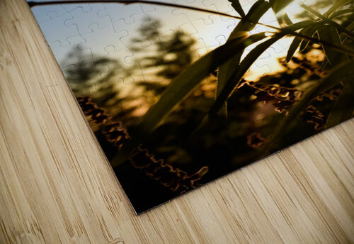 Sunbeam Rhea Mechem puzzle