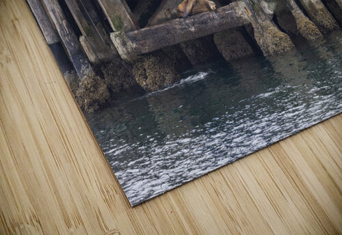 Peaceful Mornings Rhea Mechem puzzle